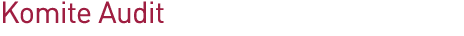 Komite Audit