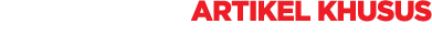 Artikel Khusus