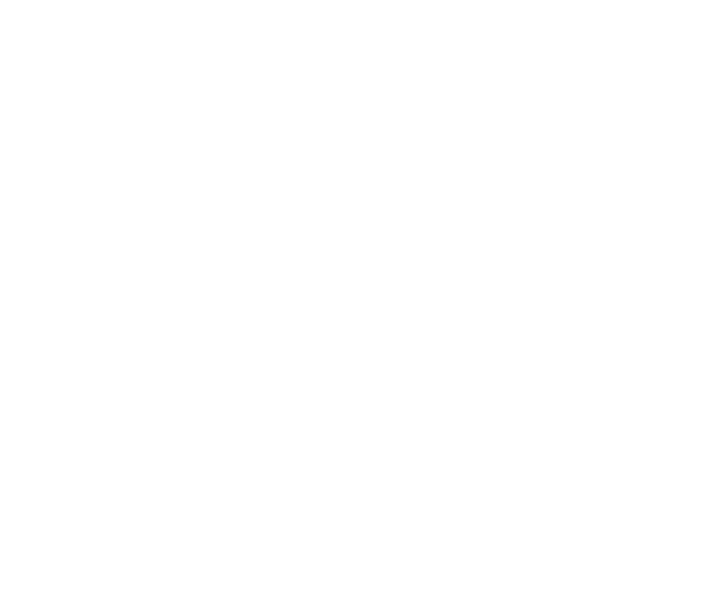 Despite the negative sentiments resulting from the Covid 19 pandemic and the global economic crisis, capital market a...