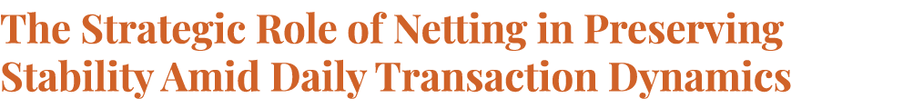 The Strategic Role of Netting in Preserving Stability Amid Daily Transaction Dynamics